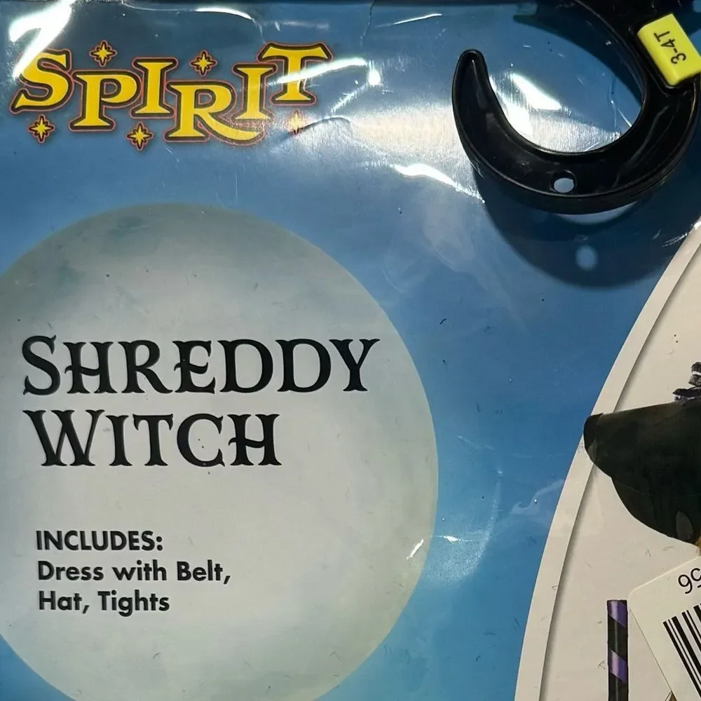 Spirit Halloween size 3t-4t purple black shreddy witch Toddler Costume